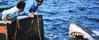 Tipps der Stadtspionin