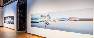 Tipps der Stadtspionin