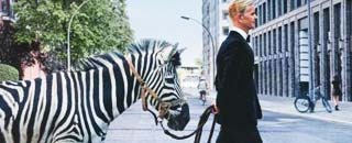 Tipps der Stadtspionin