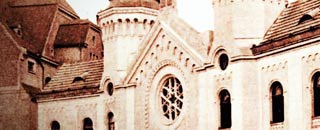 Tipps der Stadtspionin