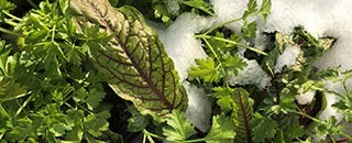 Tipps der Stadtspionin