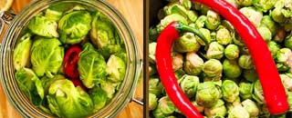 Tipps der Stadtspionin