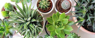 Tipps der Stadtspionin