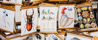 Tipps der Stadtspionin