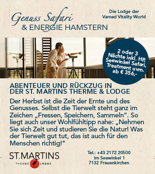 Tipps der Stadtspionin