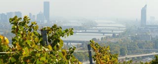 Tipps der Stadtspionin