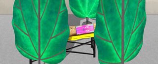 Tipps der Stadtspionin