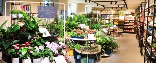 Tipps der Stadtspionin