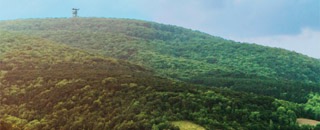 Tipps der Stadtspionin