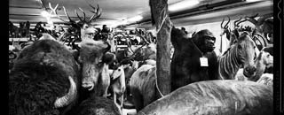 Tipps der Stadtspionin