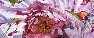 Tipps der Stadtspionin