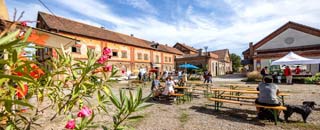 Tipps der Stadtspionin
