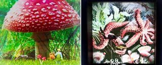 Tipps der Stadtspionin