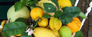 Tipps der Stadtspionin