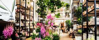 Tipps der Stadtspionin