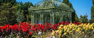 Tipps der Stadtspionin