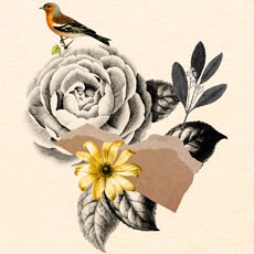 Tipps der Stadtspionin