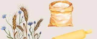 Tipps der Stadtspionin