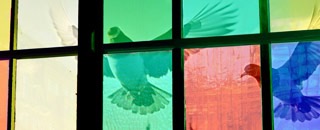 Tipps der Stadtspionin