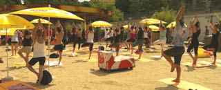 Tipps der Stadtspionin