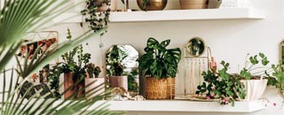 Tipps der Stadtspionin