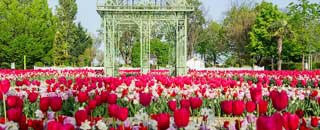 Tipps der Stadtspionin