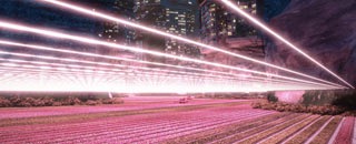 Tipps der Stadtspionin