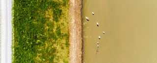 Tipps der Stadtspionin