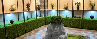 Tipps der Stadtspionin