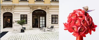 Tipps der Stadtspionin