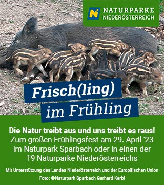 Tipps der Stadtspionin