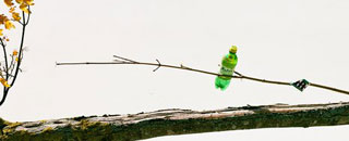 Tipps der Stadtspionin