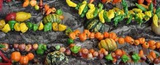 Tipps der Stadtspionin