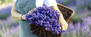 Tipps der Stadtspionin