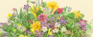 Tipps der Stadtspionin