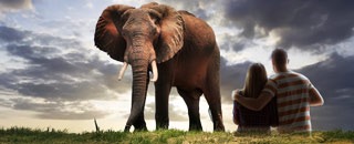 Tipps der Stadtspionin