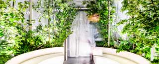 Tipps der Stadtspionin