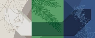 Tipps der Stadtspionin