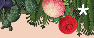 Tipps der Stadtspionin