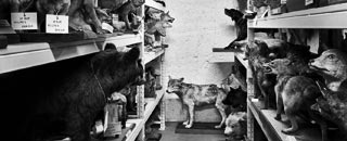 Tipps der Stadtspionin