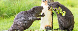 Tipps der Stadtspionin