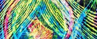 Tipps der Stadtspionin