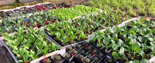 Tipps der Stadtspionin