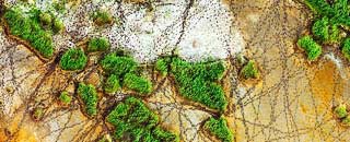 Tipps der Stadtspionin