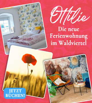 Tipps der Stadtspionin