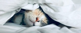 Tipps der Stadtspionin