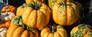 Tipps der Stadtspionin