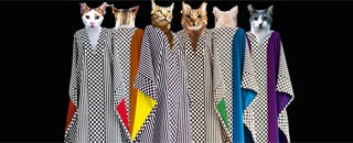 Tipps der Stadtspionin