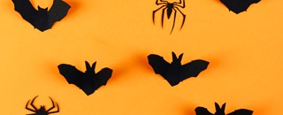 Tipps der Stadtspionin