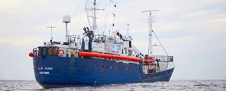 Tipps der Stadtspionin